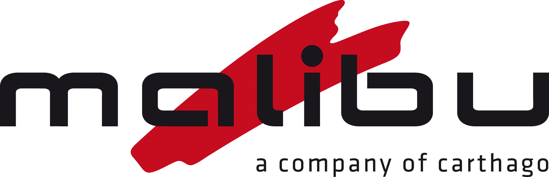 Malibu Van – a company of Carthago